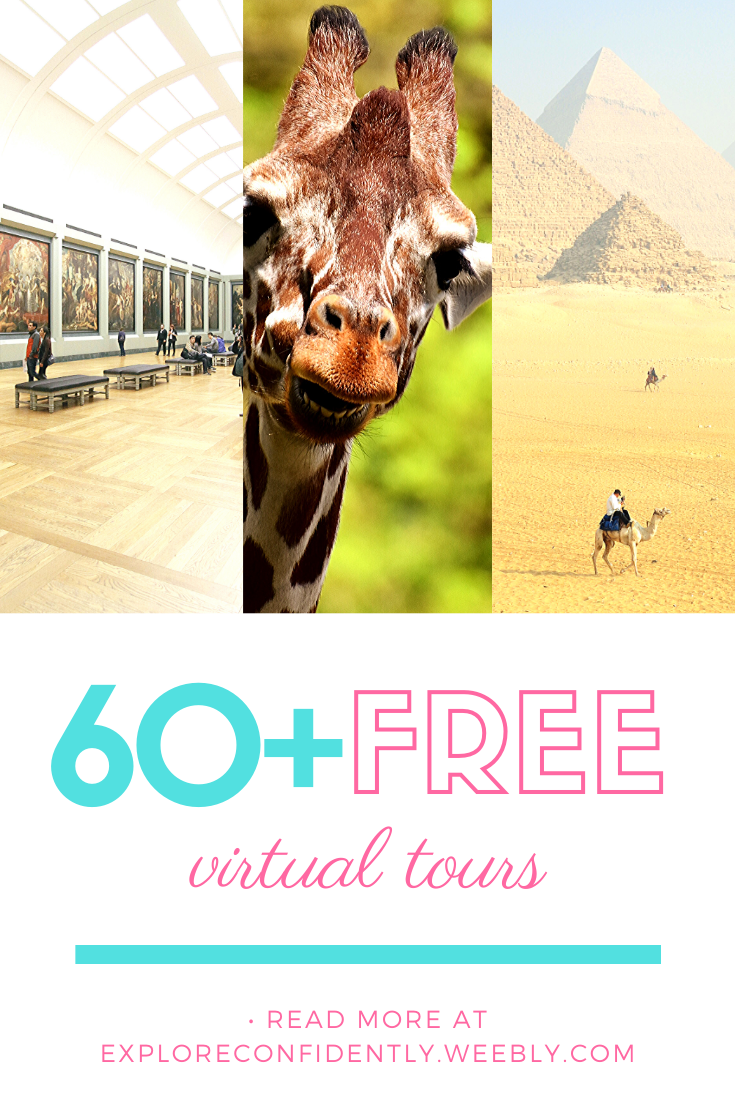 Picture of giraffe, pyramids, 60 plus virtual tours from around the world all can be done at home